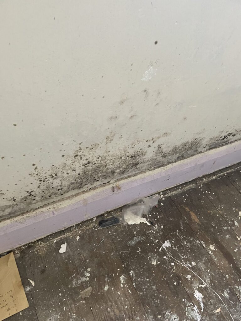 Mould walls